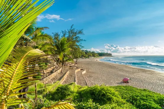 tourisme et visite ile de la reunion avec chauffeur vtc